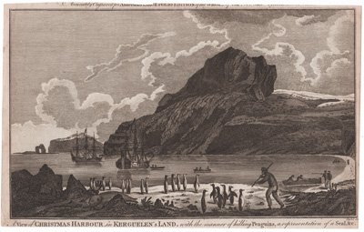 A View of Christmas Harbour, in Kerguelen's Land, with the manner of killing Penguins, a representation of a seal, &c